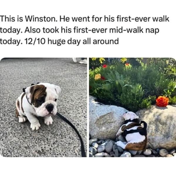 Officer: Why were you driving 69 mph in a 40? Me: Officer, look! Officer: Understandable, have a nice day. 83 F ..• 10:16 Gauges: IN 11 69 mph 69,696.9 Mi- Speedometer 59 Imph