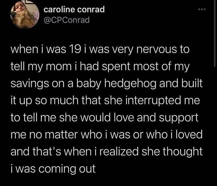 meme dump, funny memes, hilarious memes, meme collection, work memes, office memes, workplace humor, professional memes life memes, everyday memes, relatable memes, sarcastic life humor, lunchtime memes, break memes, lunchtime laughs, midday humor, meme gallery, dank memes, dank meme dump