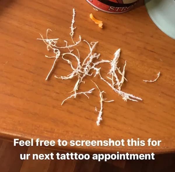 meme dump, hilarious memes, funny memes, trending memes, internet memes, viral memes, relatable memes, group chat memes, top memes, meme gallery, meme collection, meme scroll, daily memes, shareable memes, viral content, meme page, meme roundup, office memes