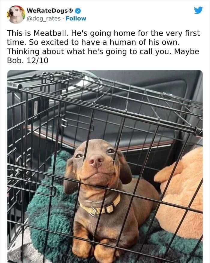meme dump, funny memes, hilarious memes, viral memes, internet meme, dank memes, meme collection, meme stash, best memes, trending memes, fresh memes, laugh memes, humor memes, meme roundup, lunch break memes, meme batch, meme bundle, internet memes, top memes, comedy memes, meme binge, memes funny
