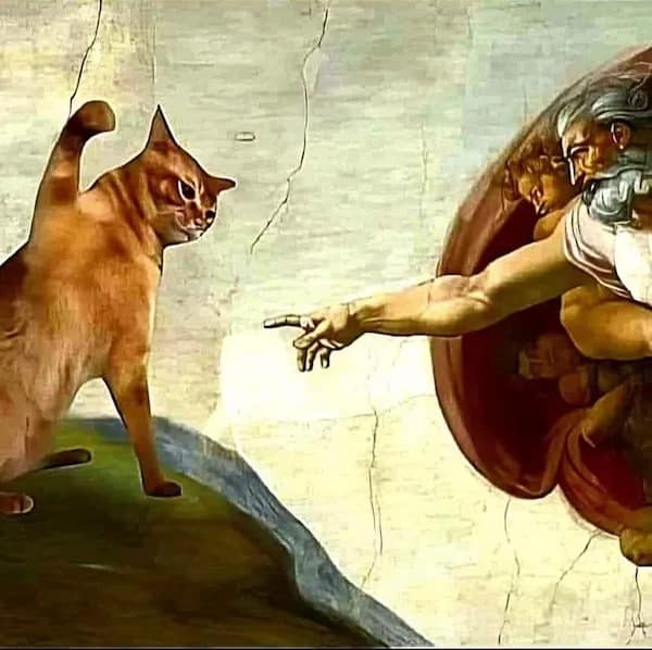 meme dump, funny memes, hilarious memes, Saturday memes, weekend memes, group chat memes, trending jokes, viral memes, snack memes, Saturday scroll, lazy memes, funny posts, Saturday distractions, meme gallery, weekend laughs, Saturday plans, couch memes, procrastination memes, Saturday humor, meme collection, viral posts, internet memes, memes funny