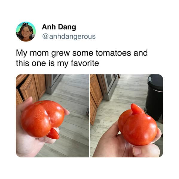 Anh Dang @anhdangerous My mom grew some tomatoes and this one is my favorite