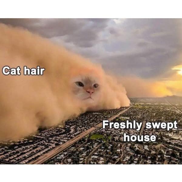 viral memes, trending memes, internet memes, relatable memes, daily memes, meme gallery, group chat memes, meme folder, meme chaos, lunch break memes, procrastination memes, meme distraction, meme page, shareable memes, new memes, work memes, dank memes, meme culture, dank meme dump