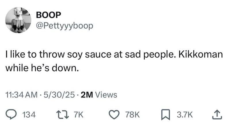 BOOP @Pettyyyboop I like to throw soy sauce at sad people. Kikkoman while he's down. 11:34 AM • 5/30/25 • 2M Views 134 17 7K • 78K 3.7K
