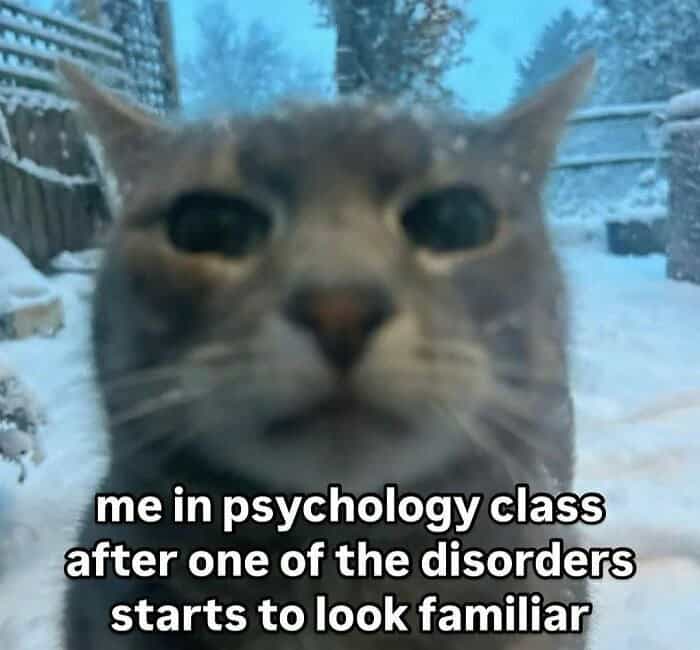 mental health memes, therapy memes, anxiety memes, depression memes, therapy memes, funny memes, relatable memes, mental health humor, therapy jokes, anxiety jokes, depression humor, self-care memes