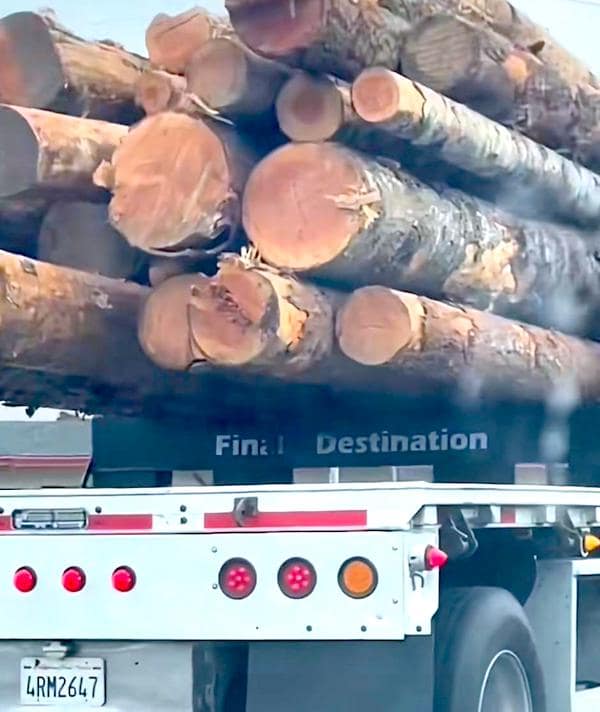 movie memes, cinema memes, film memes, pop culture memes, cinephile memes, funny movie memes, movie jokes, film lover memes, director memes, actor memes, Oscar memes, film buff memes, TV memes, movie quotes, film references, movie humor, streaming memes, popcorn memes, blockbuster memes, classic film memes