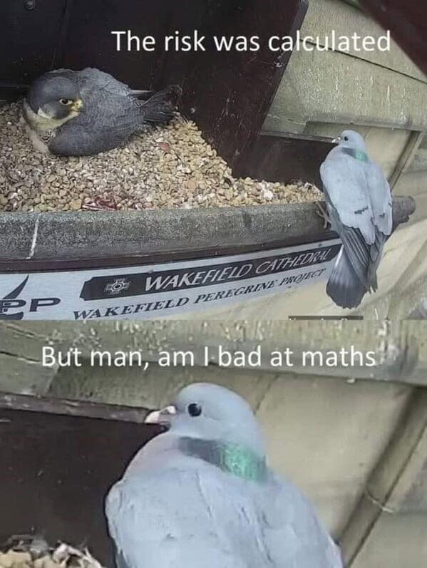 nature memes, outdoor memes, Hiking Memes, Funny Outdoor Content, Hilarious Camping Stories, Amusing Hiking Fails, Wilderness Humor, Backcountry Jokes, Forest Funnies