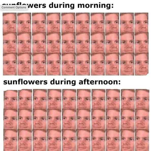 nature memes, outdoor memes, Hiking Memes, Funny Outdoor Content, Hilarious Camping Stories, Amusing Hiking Fails, Wilderness Humor, Backcountry Jokes, Forest Funnies