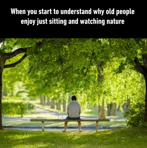 nature memes, outdoor memes, Hiking Memes, Funny Outdoor Content, Hilarious Camping Stories, Amusing Hiking Fails, Wilderness Humor, Backcountry Jokes, Forest Funnies