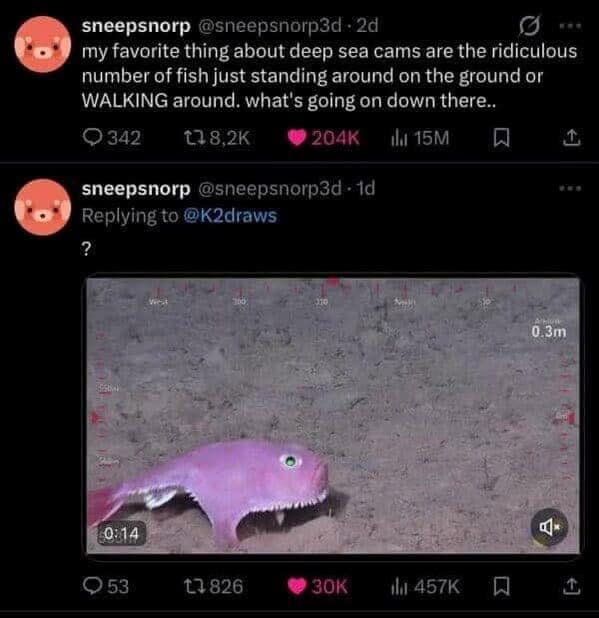 nature memes, outdoor memes, Hiking Memes, Funny Outdoor Content, Hilarious Camping Stories, Amusing Hiking Fails, Wilderness Humor, Backcountry Jokes, Forest Funnies