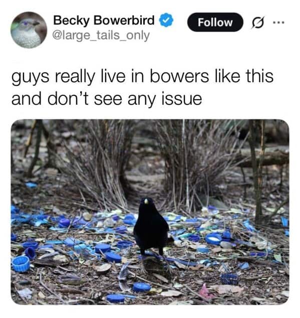 nature memes, outdoor memes, Hiking Memes, Funny Outdoor Content, Hilarious Camping Stories, Amusing Hiking Fails, Wilderness Humor, Backcountry Jokes, Forest Funnies