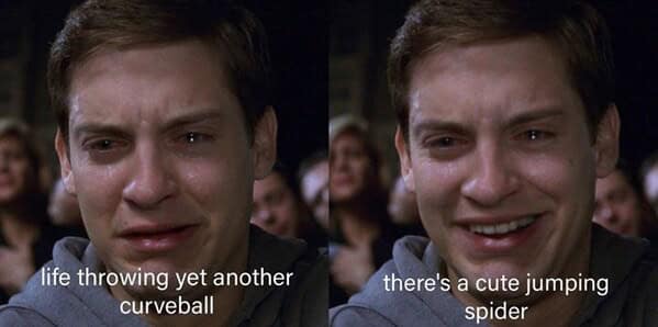 nature memes, outdoor memes, Hiking Memes, Funny Outdoor Content, Hilarious Camping Stories, Amusing Hiking Fails, Wilderness Humor, Backcountry Jokes, Forest Funnies