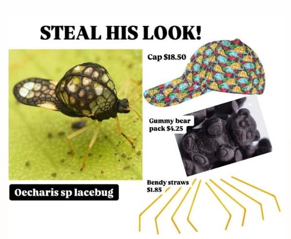 nature memes, outdoor memes, Hiking Memes, Funny Outdoor Content, Hilarious Camping Stories, Amusing Hiking Fails, Wilderness Humor, Backcountry Jokes, Forest Funnies