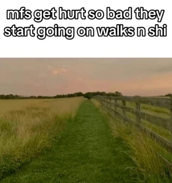 nature memes, outdoor memes, Hiking Memes, Funny Outdoor Content, Hilarious Camping Stories, Amusing Hiking Fails, Wilderness Humor, Backcountry Jokes, Forest Funnies