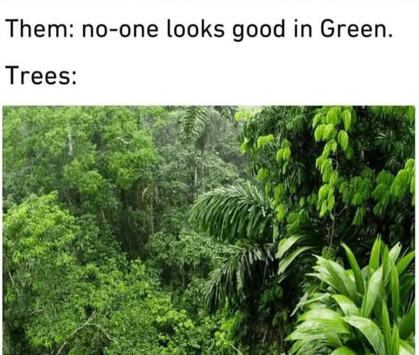 nature memes, outdoor memes, Hiking Memes, Funny Outdoor Content, Hilarious Camping Stories, Amusing Hiking Fails, Wilderness Humor, Backcountry Jokes, Forest Funnies