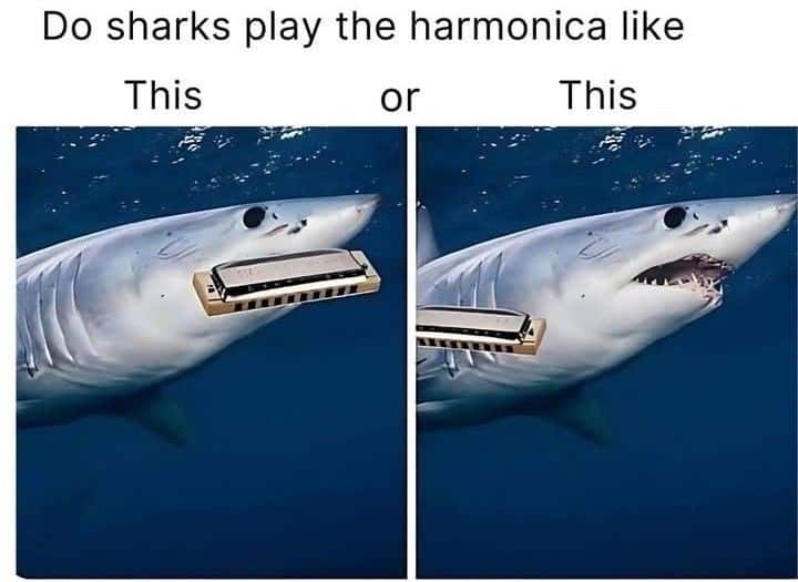 Do sharks play the harmonica like This or This