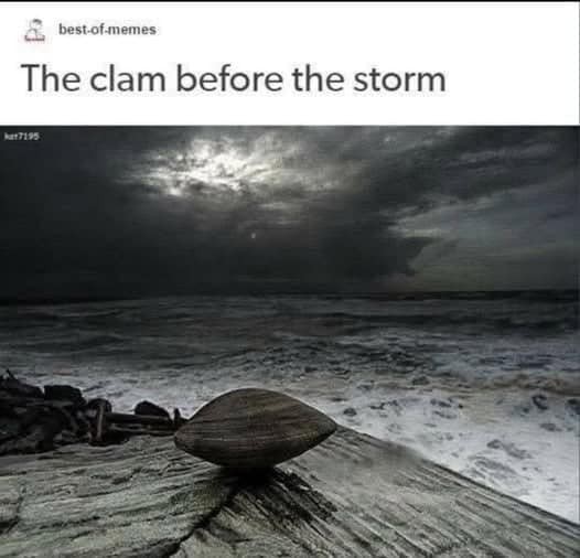 The clam before the storm