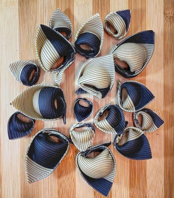 pasta art, david rivillo, food art, edible art, culinary art, noodle art, pasta sculptures, creative cooking, artistic pasta, gourmet art, carb art, chef creations, food presentation, innovative cuisine, pasta design, Italian food art, spaghetti art, macaroni art, kitchen creativity, dinner art, noodle design