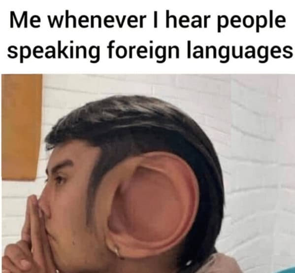 Me whenever I hear people speaking foreign languages