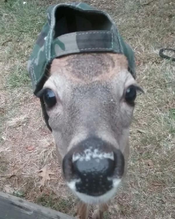 positive memes, positivity memes, wholesome memes, encouragement memes, happy memes, viral positivity, supportive posts, feel-good humor, positivity memes, smile memes, uplifting memes, motivational jokes, mood booster, good energy, internet hugs, daily encouragement, meme gallery, positive energy, happiness memes