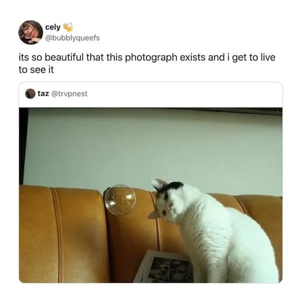 positive memes, positivity memes, wholesome memes, encouragement memes, happy memes, viral positivity, supportive posts, feel-good humor, positivity memes, smile memes, uplifting memes, motivational jokes, mood booster, good energy, internet hugs, daily encouragement, meme gallery, positive energy, happiness memes