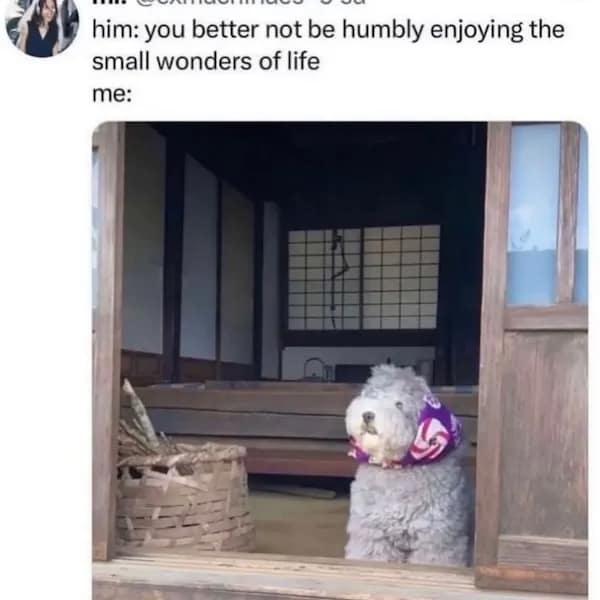 positive memes, positivity memes, wholesome memes, encouragement memes, happy memes, viral positivity, supportive posts, feel-good humor, positivity memes, smile memes, uplifting memes, motivational jokes, mood booster, good energy, internet hugs, daily encouragement, meme gallery, positive energy, happiness memes