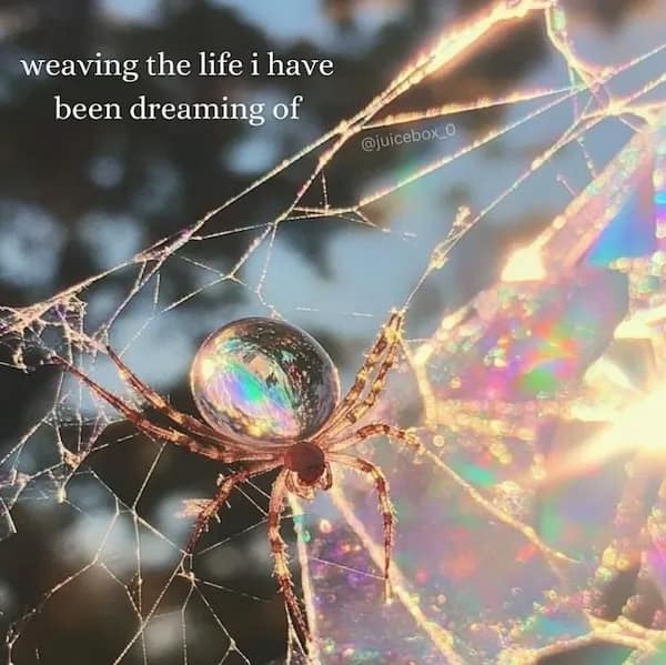 positive memes, positivity memes, wholesome memes, encouragement memes, happy memes, viral positivity, supportive posts, feel-good humor, positivity memes, smile memes, uplifting memes, motivational jokes, mood booster, good energy, internet hugs, daily encouragement, meme gallery, positive energy, happiness memes