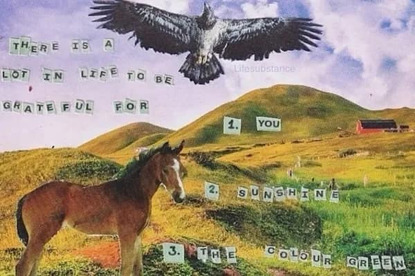 positive memes, positivity memes, wholesome memes, encouragement memes, happy memes, viral positivity, supportive posts, feel-good humor, positivity memes, smile memes, uplifting memes, motivational jokes, mood booster, good energy, internet hugs, daily encouragement, meme gallery, positive energy, happiness memes