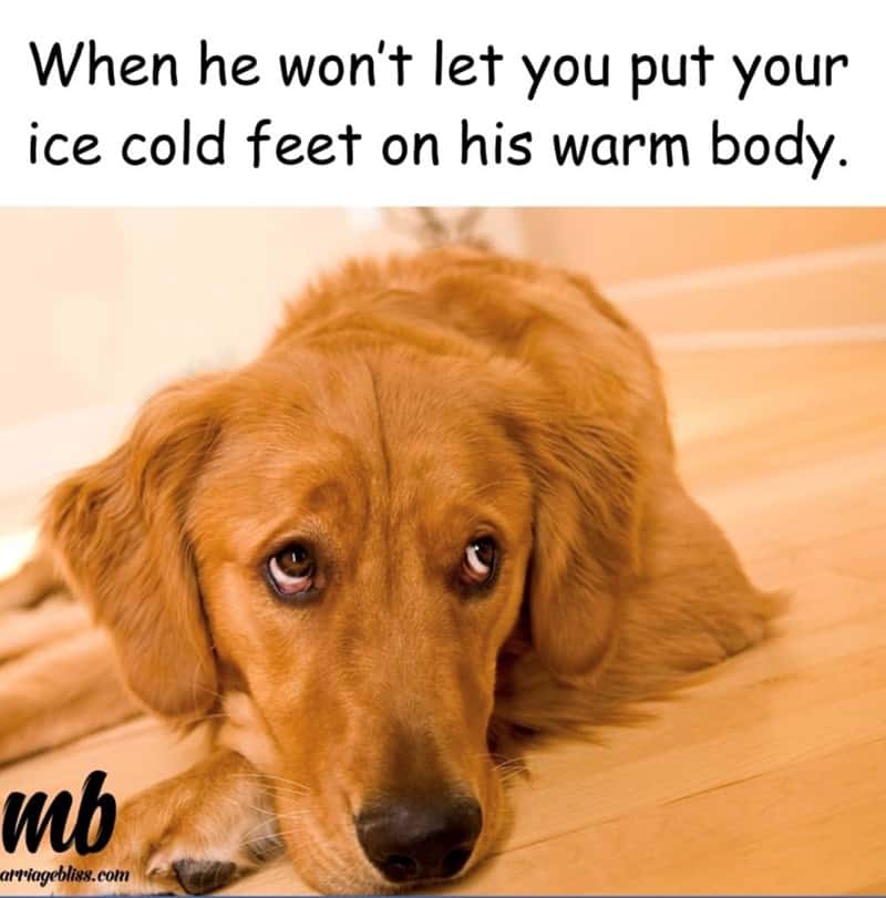 relationship memes, healthy couple memes, couple memes, dating memes, healthy relationship jokes, partnership memes, funny couple posts, love memes, relationship humor, relatable memes, marriage memes, relationship goals, couple jokes, text memes, dating humor, relationship laughs, roast memes, partner memes, funny romance, happy couple memes, meme scroll