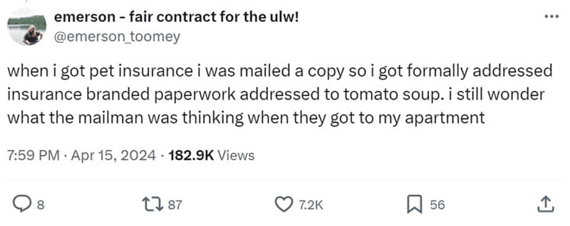 when i got pet insurance i was mailed a copy so i got formally addressed insurance branded paperwork addressed to tomato soup. i still wonder what the mailman was thinking when they got to my apartment