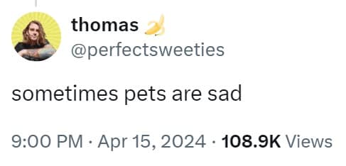 sometimes pets are sad