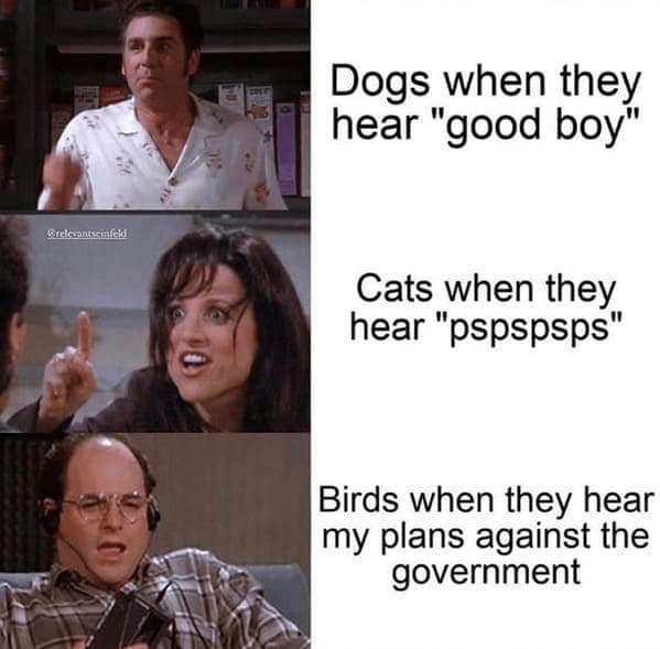 seinfeld meme, seinfeld memes, sitcom memes, Jerry Seinfeld jokes, 90s nostalgia, group chat memes, Elaine memes, Kramer memes, George Costanza jokes, Festivus memes, classic TV memes, close talker memes, soup Nazi memes, TV show memes, Seinfeld references, New York memes, sitcom jokes, 90s TV humor, Seinfeld moments, best show memes