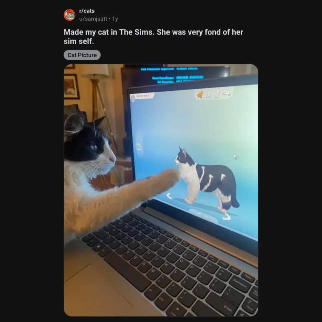 sims memes, the sims memes, life simulation memes, Simmer jokes, virtual life memes, Sims chaos, The Sims games, green diamond memes, mood bar jokes, create-a-sim memes, expansion pack memes, mod fail memes, pixel people jokes, Sim disasters, digital sandbox memes, funny Sims memes, social need memes, career memes, custom content memes, house building memes