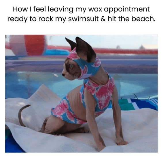 summer memes, hot weather memes, heat wave humor, pool memes, summer jokes, sunscreen memes, summer plans memes, AC memes, sunburn jokes, summer struggle, pool party memes, beach memes, sweaty memes, summer fails, outdoor memes, funny summer memes, July memes, summer vacation memes, sticky seat memes