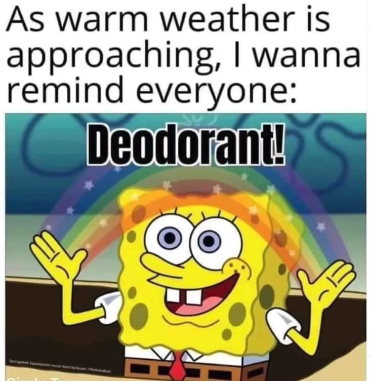 summer memes, hot weather memes, heat wave humor, pool memes, summer jokes, sunscreen memes, summer plans memes, AC memes, sunburn jokes, summer struggle, pool party memes, beach memes, sweaty memes, summer fails, outdoor memes, funny summer memes, July memes, summer vacation memes, sticky seat memes