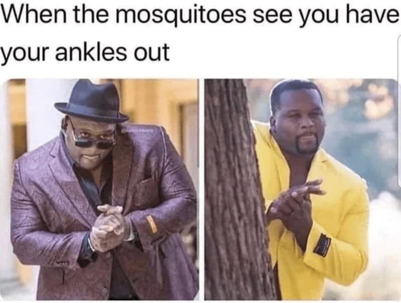 When the mosquitoes see you have your ankles out