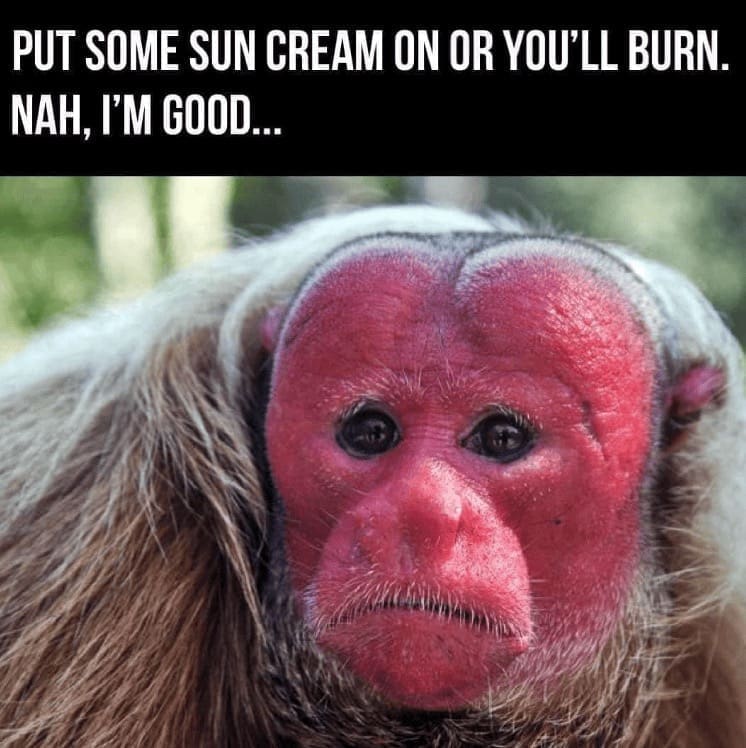 PUT SOME SUN CREAM ON OR YOU'LL BURN. NAH, 'M GOOD...