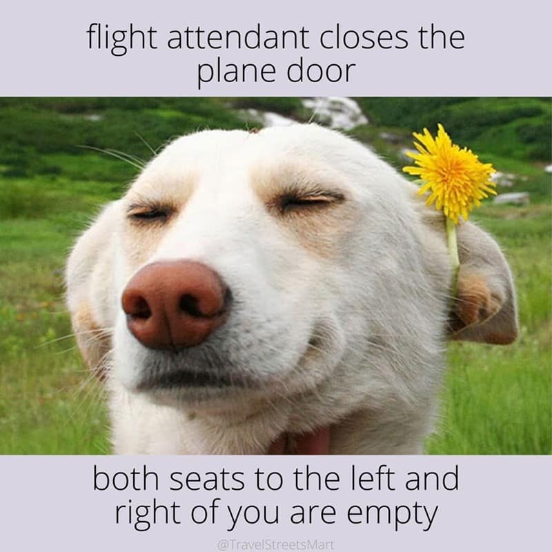 travel memes, vacation memes, summer travel humor, travel jokes, holiday memes, trip memes, summer vacation humor, travel season jokes, travel humor, vacation jokes