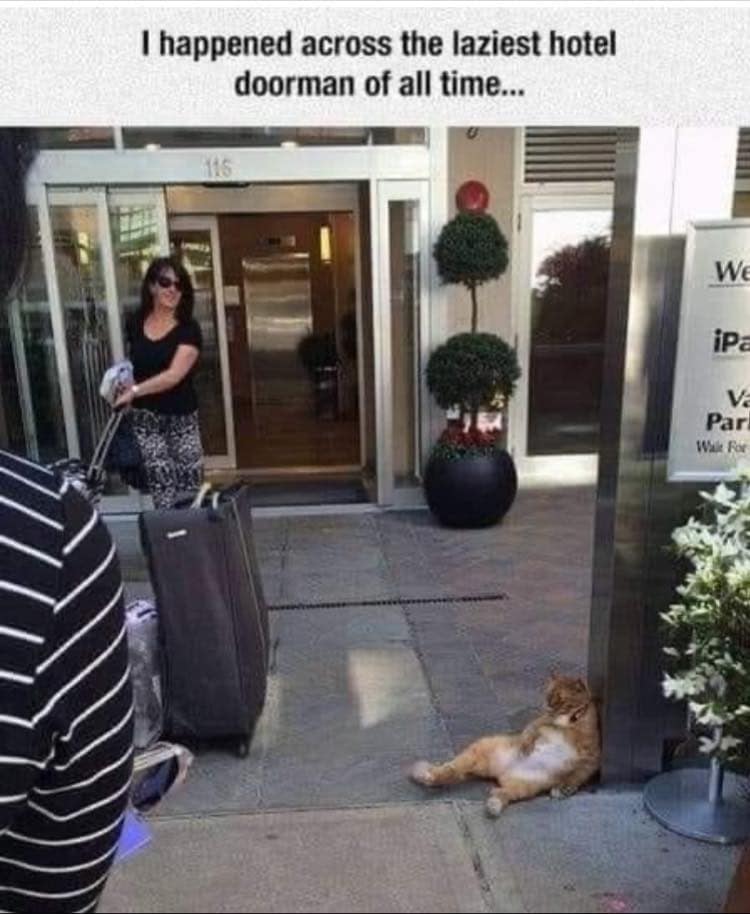 travel memes, vacation memes, summer travel humor, travel jokes, holiday memes, trip memes, summer vacation humor, travel season jokes, travel humor, vacation jokes