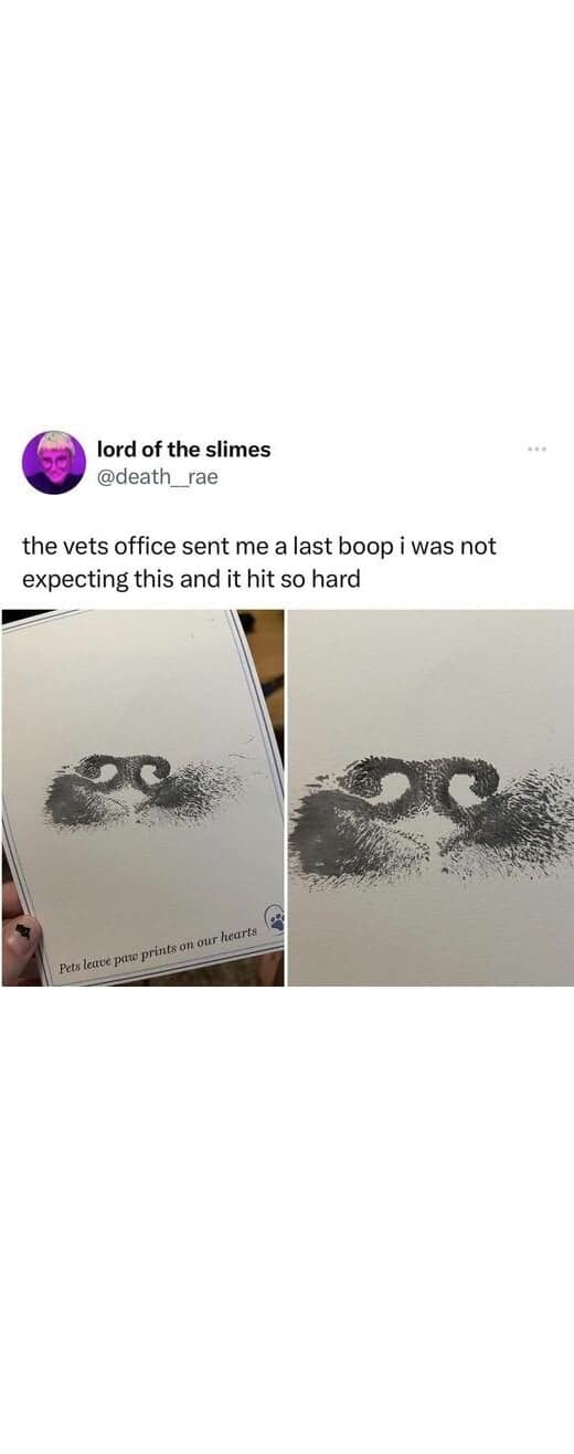 wholesome memes, heartwarming memes, uplifting memes, happy memes, positive memes, trending memes, good vibes memes, motivational memes, meme dump, friendship memes, mood boost, cute memes, feel-good memes, Monday memes, serotonin memes, joy memes, funny wholesome memes, stress relief memes, smile memes