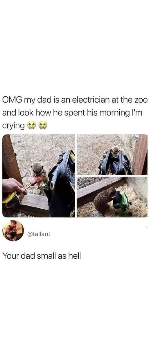 wholesome memes, heartwarming memes, uplifting memes, happy memes, positive memes, trending memes, good vibes memes, motivational memes, meme dump, friendship memes, mood boost, cute memes, feel-good memes, Monday memes, serotonin memes, joy memes, funny wholesome memes, stress relief memes, smile memes