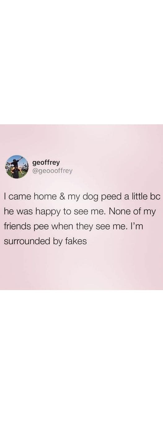 wholesome memes, heartwarming memes, uplifting memes, happy memes, positive memes, trending memes, good vibes memes, motivational memes, meme dump, friendship memes, mood boost, cute memes, feel-good memes, Monday memes, serotonin memes, joy memes, funny wholesome memes, stress relief memes, smile memes