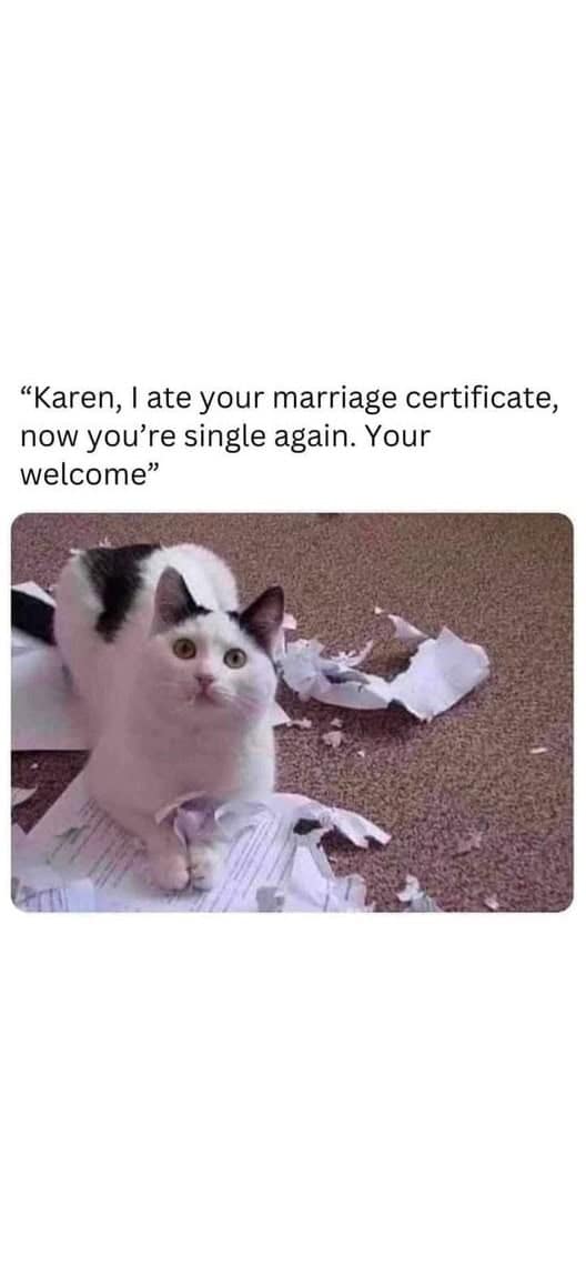 wholesome memes, heartwarming memes, uplifting memes, happy memes, positive memes, trending memes, good vibes memes, motivational memes, meme dump, friendship memes, mood boost, cute memes, feel-good memes, Monday memes, serotonin memes, joy memes, funny wholesome memes, stress relief memes, smile memes