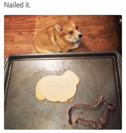 wholesome memes, heartwarming memes, uplifting memes, happy memes, positive memes, trending memes, good vibes memes, motivational memes, meme dump, friendship memes, mood boost, cute memes, feel-good memes, Monday memes, serotonin memes, joy memes, funny wholesome memes, stress relief memes, smile memes