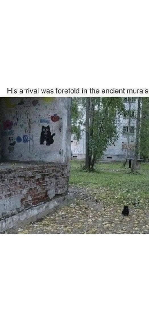 wholesome memes, heartwarming memes, uplifting memes, happy memes, positive memes, trending memes, good vibes memes, motivational memes, meme dump, friendship memes, mood boost, cute memes, feel-good memes, Monday memes, serotonin memes, joy memes, funny wholesome memes, stress relief memes, smile memes