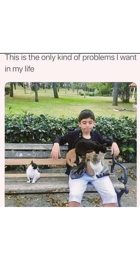 This is the only kind of problems I want in my life