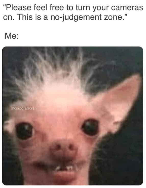 work from home memes, working from home memes, work from home memes, remote work memes, funny work memes, Zoom memes, WFH memes, work memes, home office memes, video call memes, Slack memes, pajama memes, relatable memes, work jokes, corporate memes, meeting memes, digital nomad memes, remote worker memes, meme dump