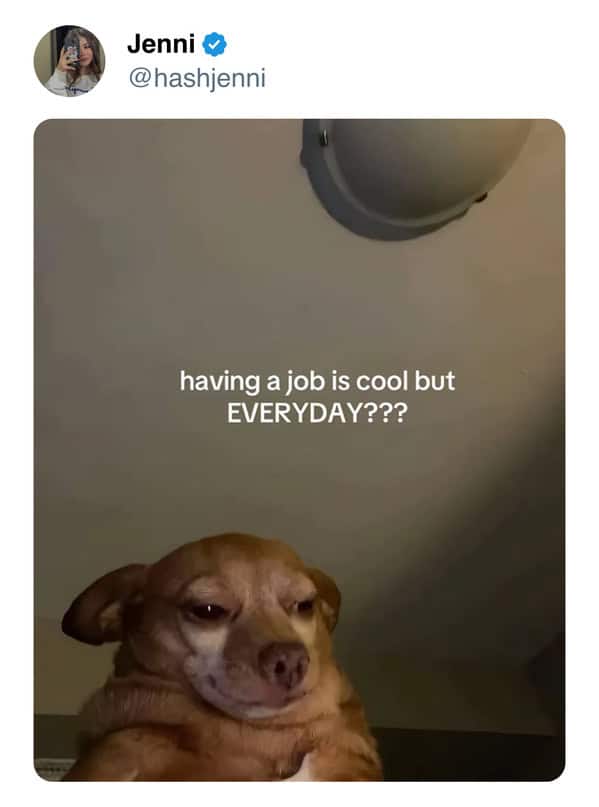 work memes, office memes, job memes, workplace humor, office humor, comedic workplace insights, corporate banter, work jokes, job quips, professional punchlines, funny coworker memes, hilarious colleague posts, comedic team moments