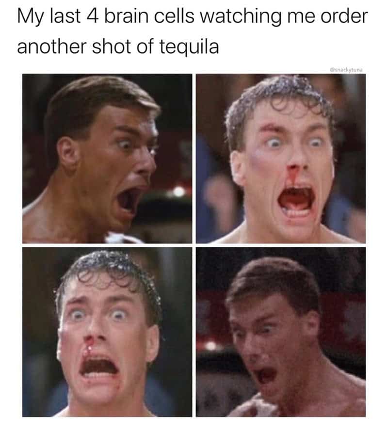 action movie memes, 90s nostalgia, movie memes, group chat memes, throwback memes, millennial memes, hero memes, VHS memes, classic action memes, blockbuster jokes, action stars, movie references, funny memes, nostalgia memes, favorite heroes, movie tropes, Arnold Schwarzenegger memes, Van Damme memes, Willis memes