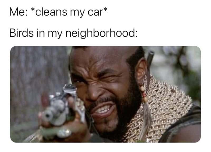 action movie memes, 90s nostalgia, movie memes, group chat memes, throwback memes, millennial memes, hero memes, VHS memes, classic action memes, blockbuster jokes, action stars, movie references, funny memes, nostalgia memes, favorite heroes, movie tropes, Arnold Schwarzenegger memes, Van Damme memes, Willis memes